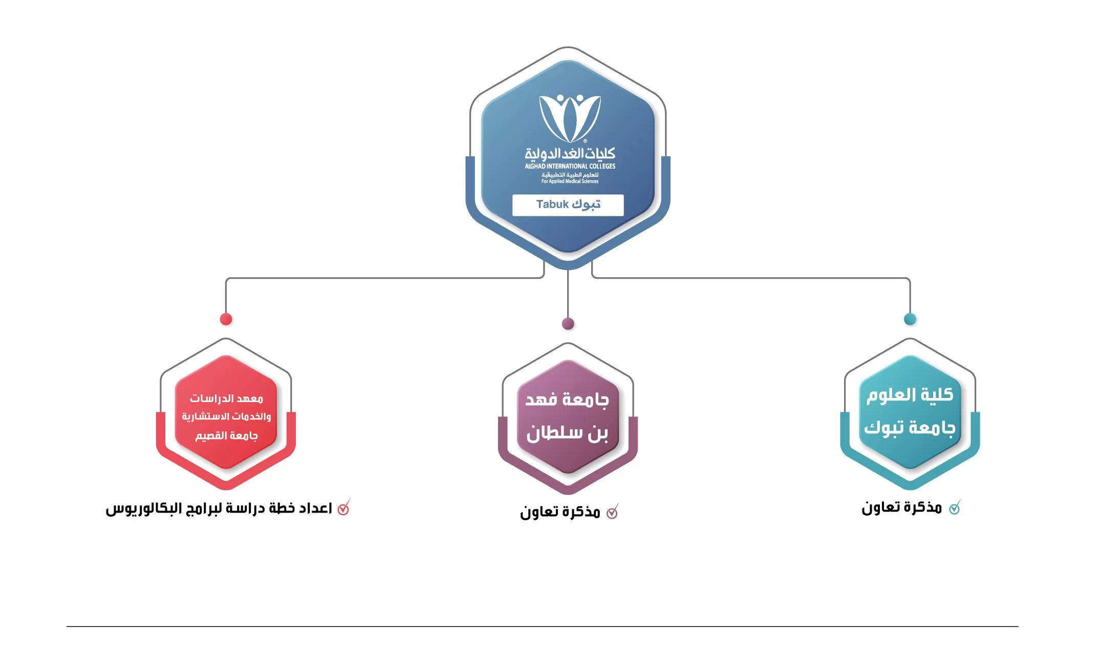 شراكات كليات الغد٣