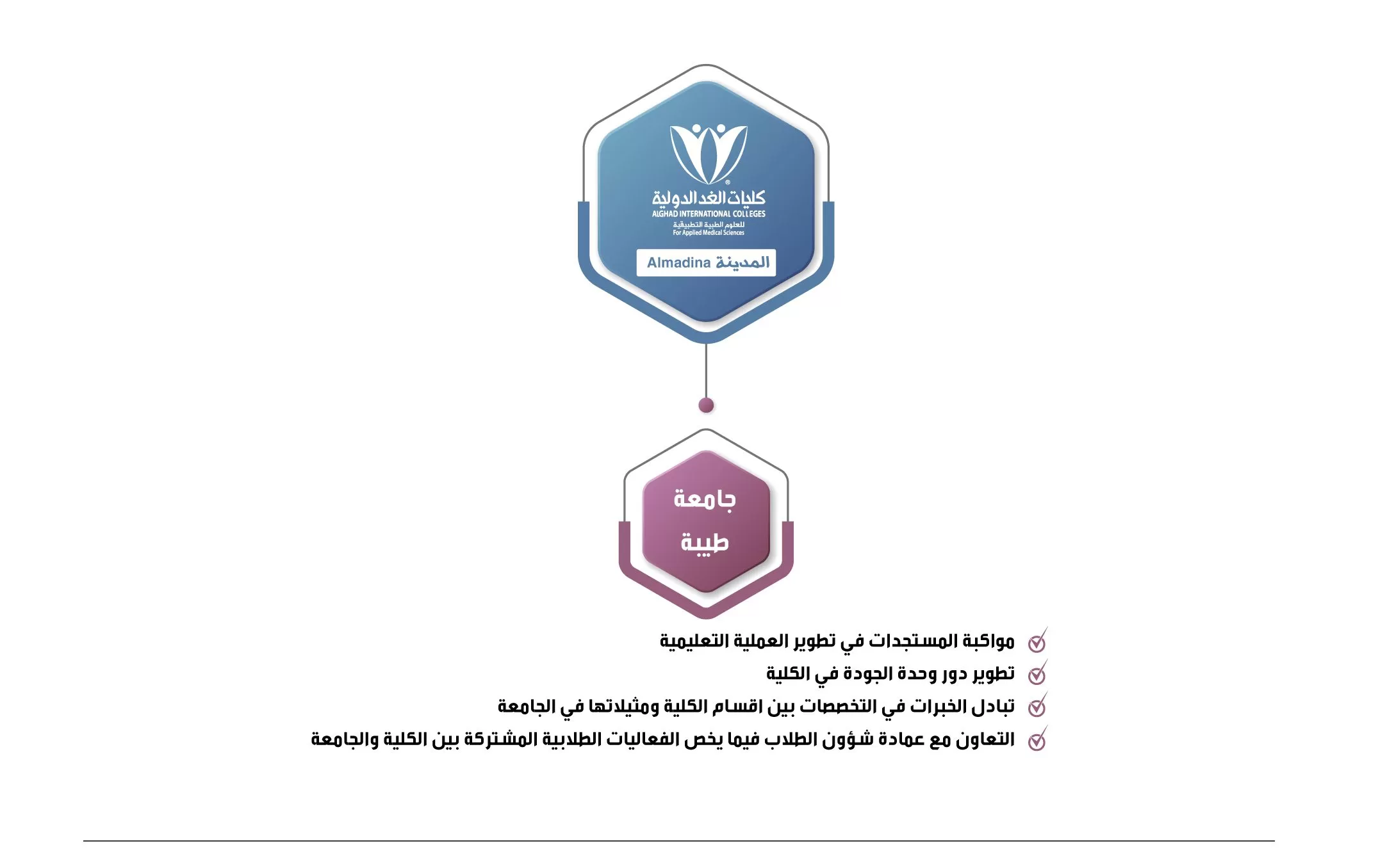 شراكات كليات الغد٦