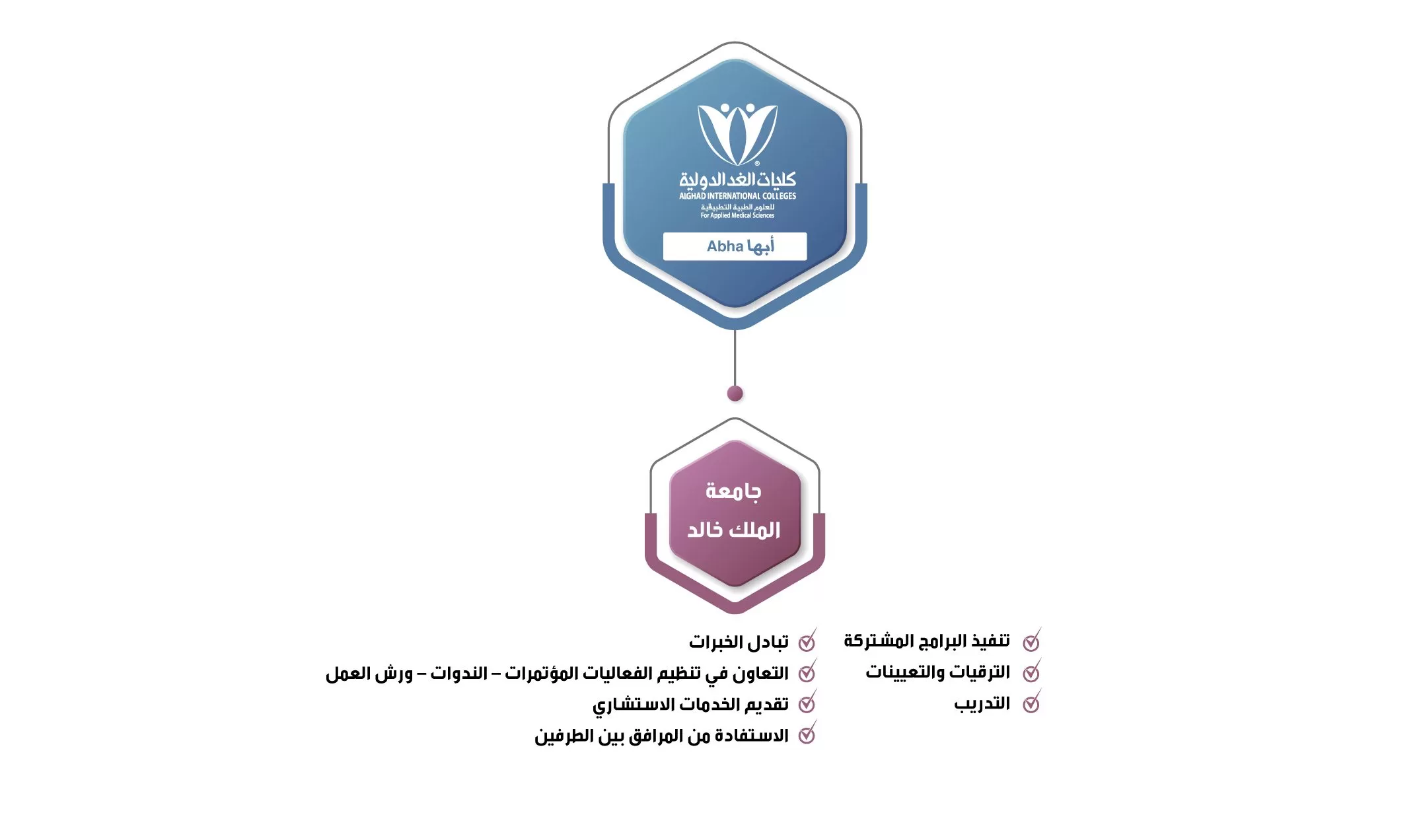 شراكات كليات الغد٨